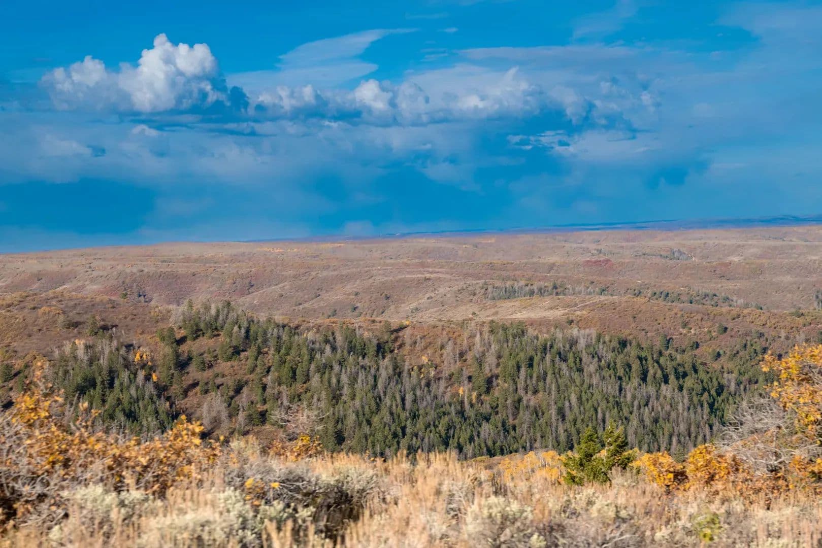 Timber Valley Ranch in Rifle, Colorado - photo 22
