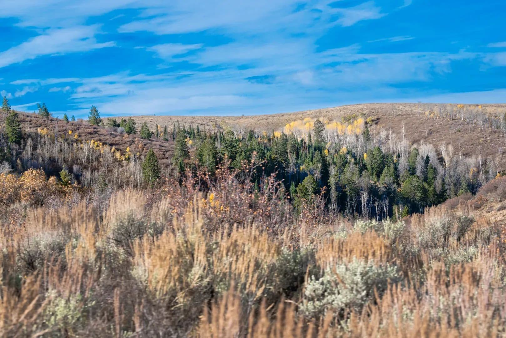 Timber Valley Ranch in Rifle, Colorado - photo 33