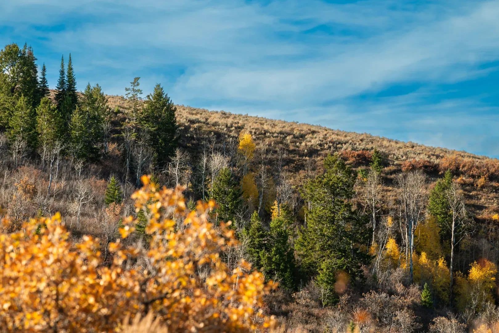 Timber Valley Ranch in Rifle, Colorado - photo 29