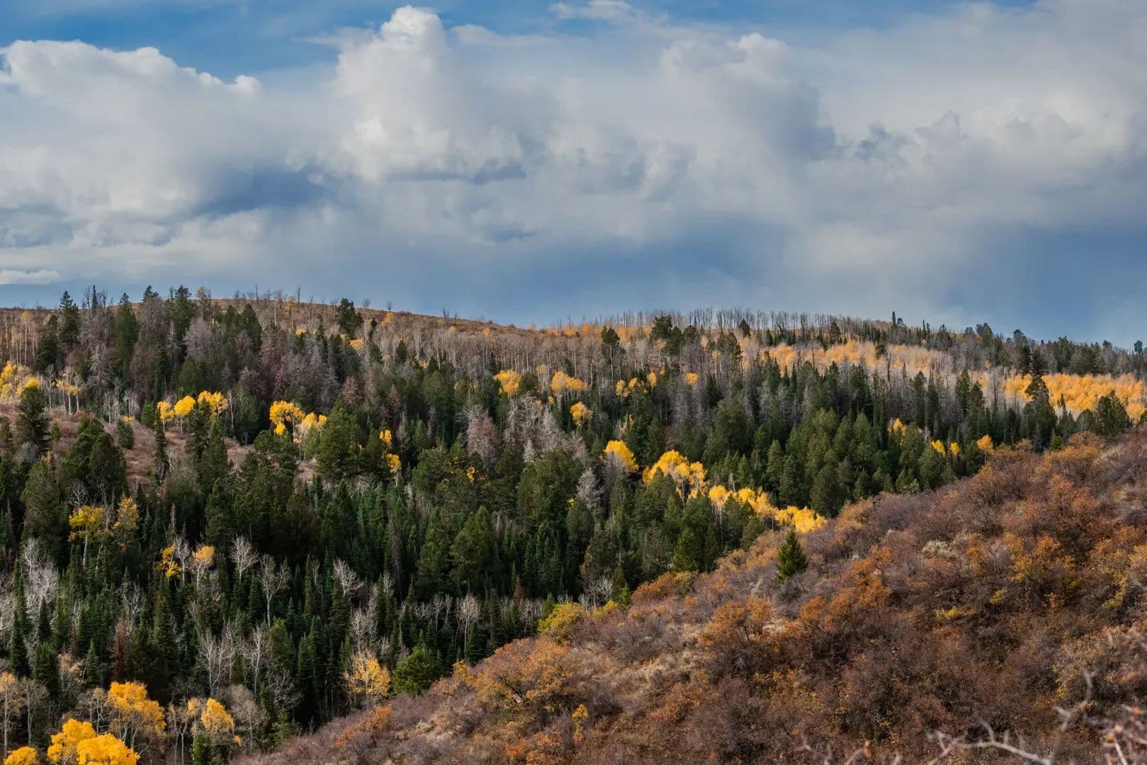 Timber Valley Ranch in Rifle, Colorado - photo 5