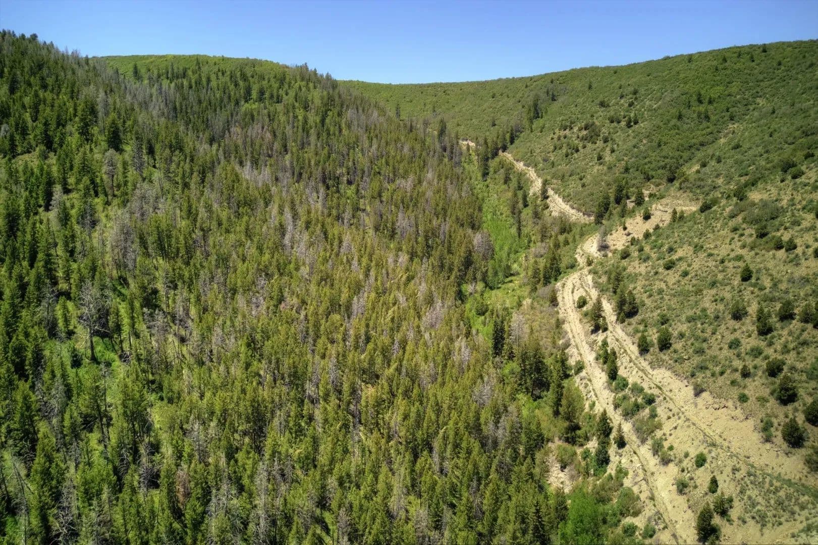 Timber Valley Ranch in Rifle, Colorado - photo 9