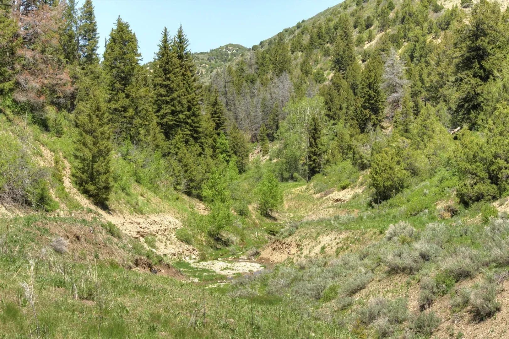 Timber Valley Ranch in Rifle, Colorado - photo 10