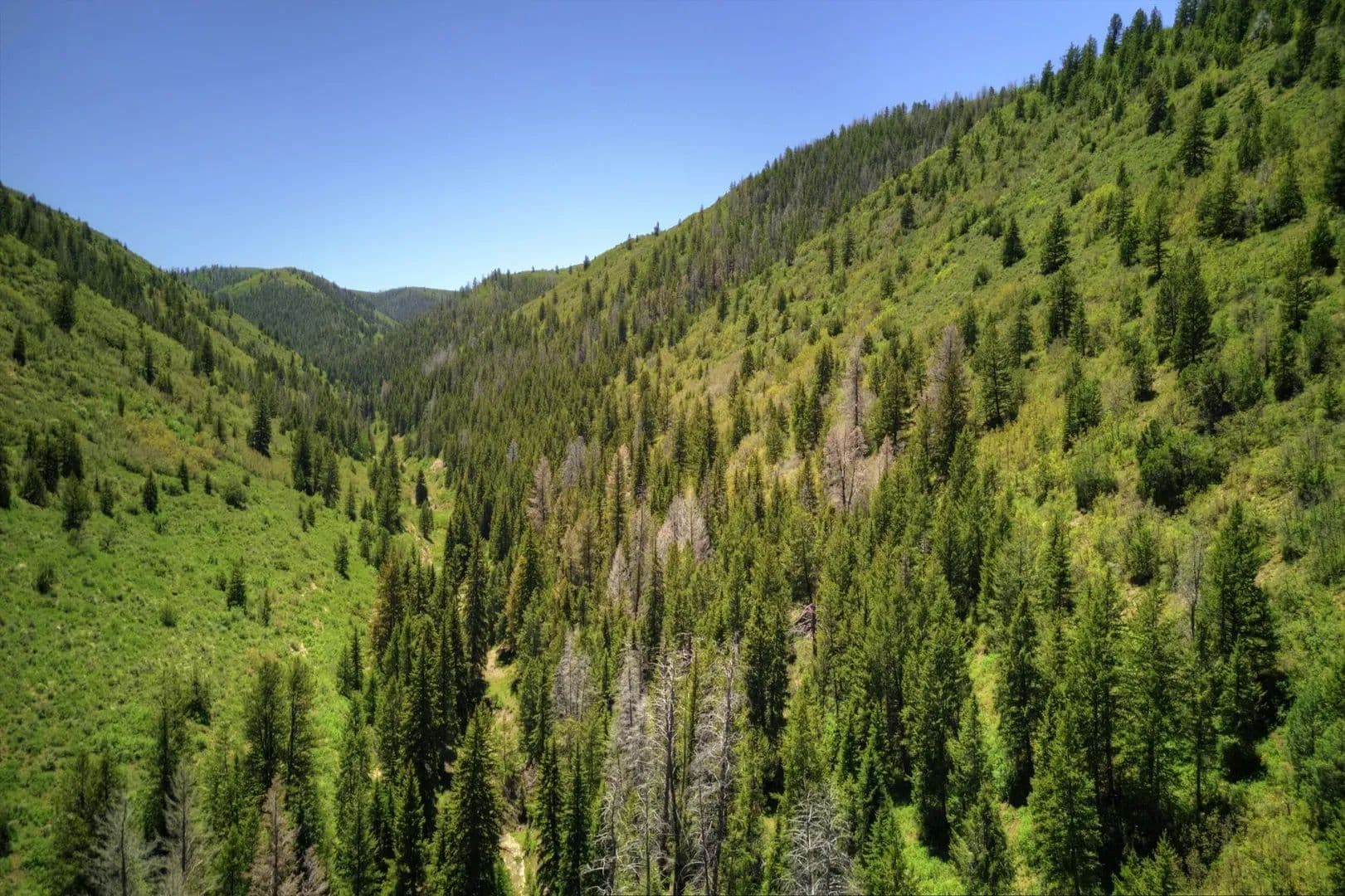 Timber Valley Ranch in Rifle, Colorado - photo 14
