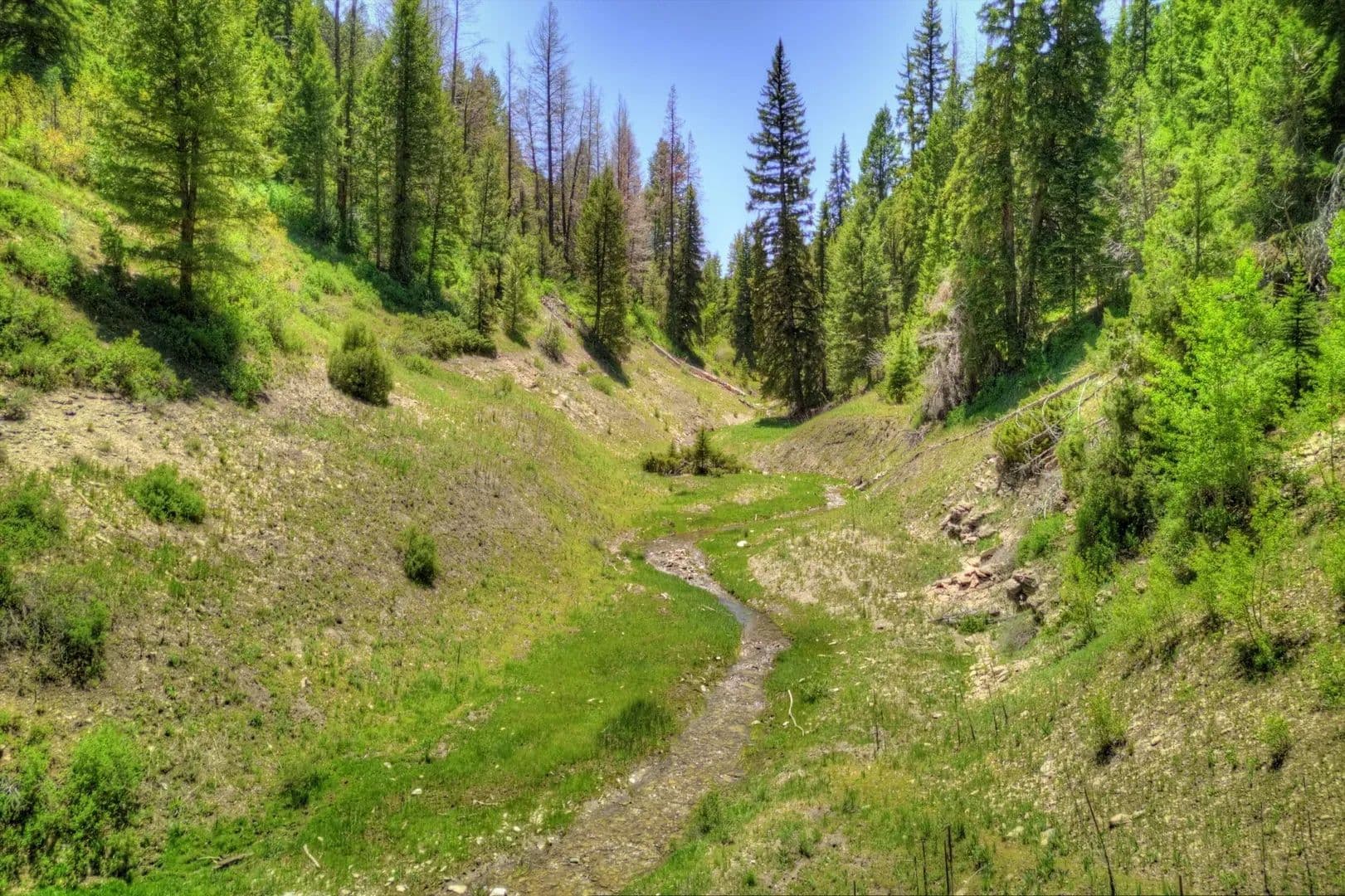 Timber Valley Ranch in Rifle, Colorado - photo 17