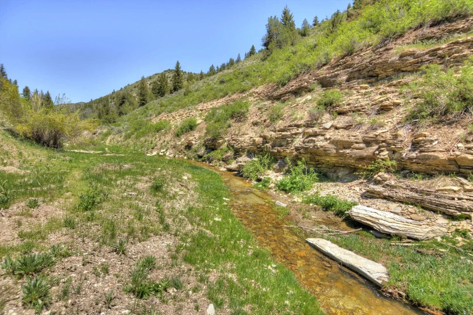 Timber Valley Ranch in Rifle, Colorado - photo 21
