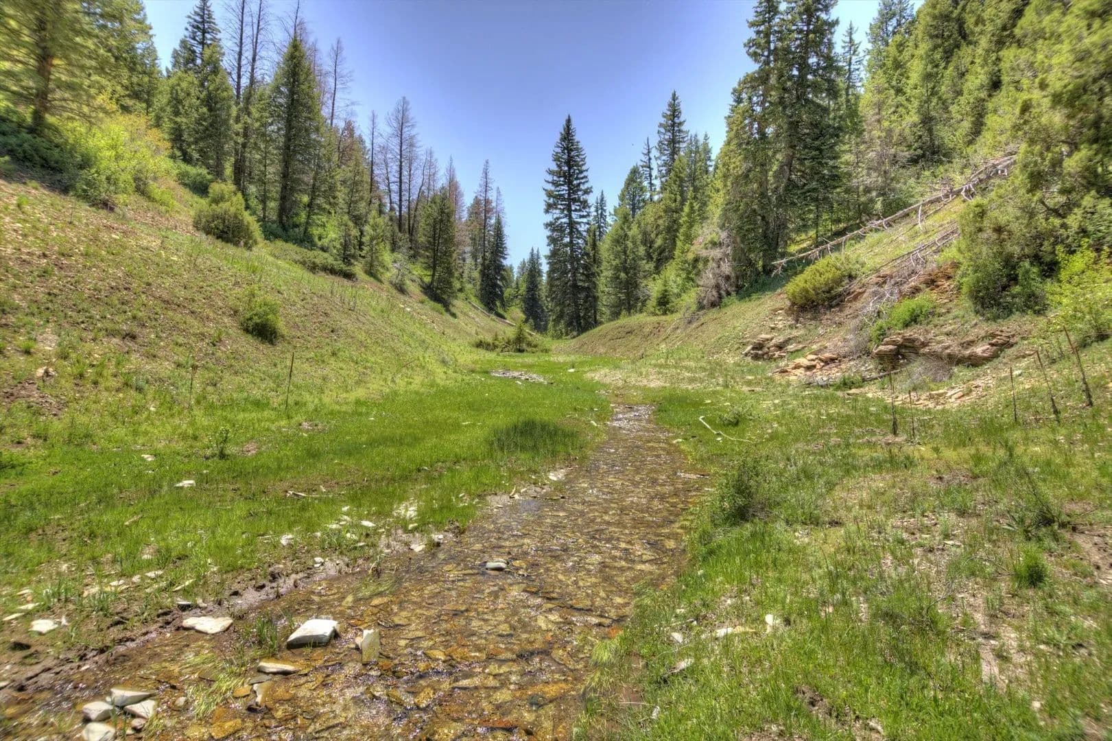 Timber Valley Ranch in Rifle, Colorado - photo 2