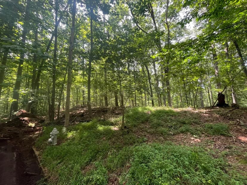 19+/- Ac Fulton Co. High Point Trl