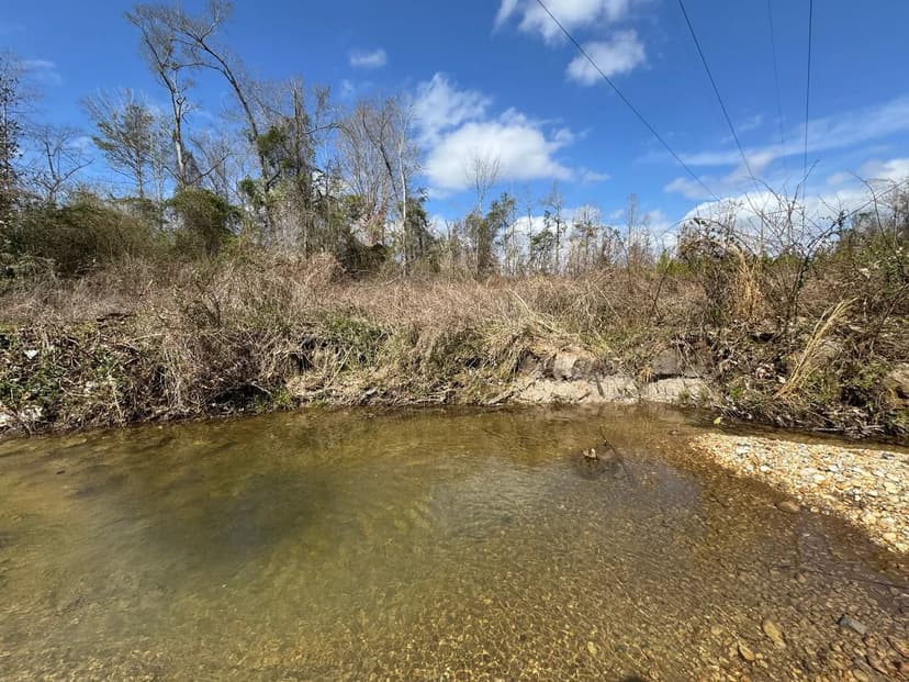 266.93 +/- Acres, Deatsville, Autauga County