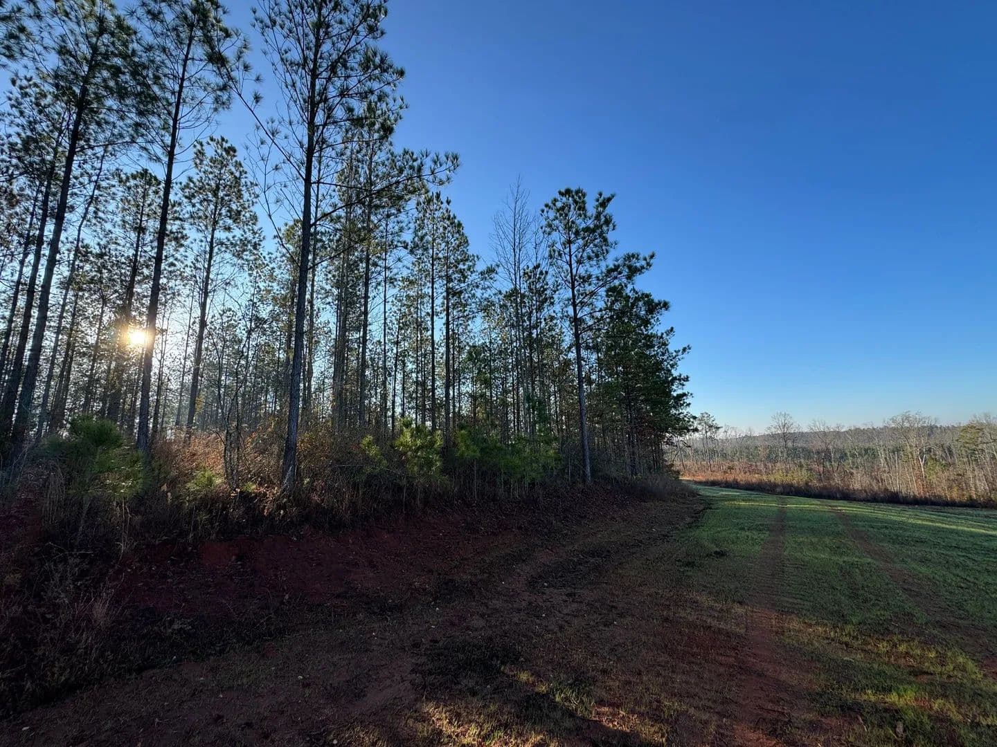 77 +/- Acres, Five Points, Chambers County, AL - land for sale