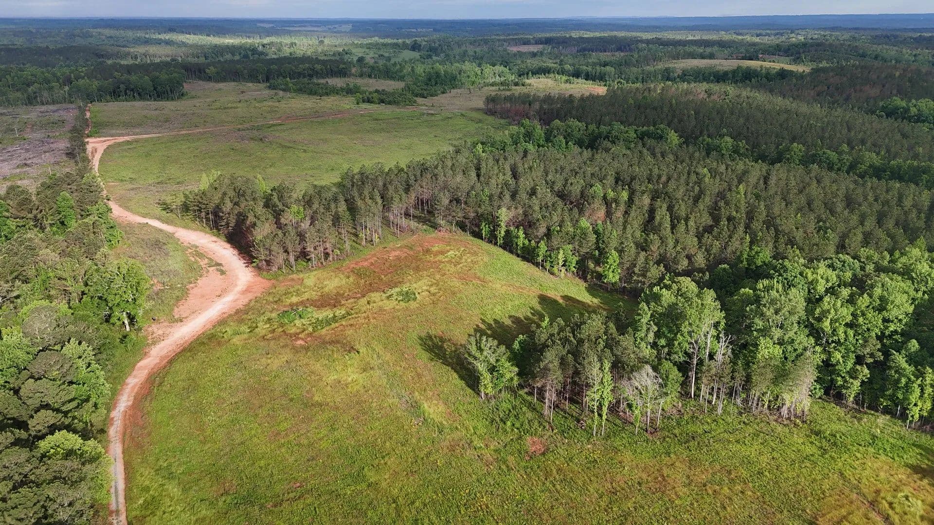 149 +/- Acres, PASTURE!!! Standing Rock, Chambers County, AL - land for sale