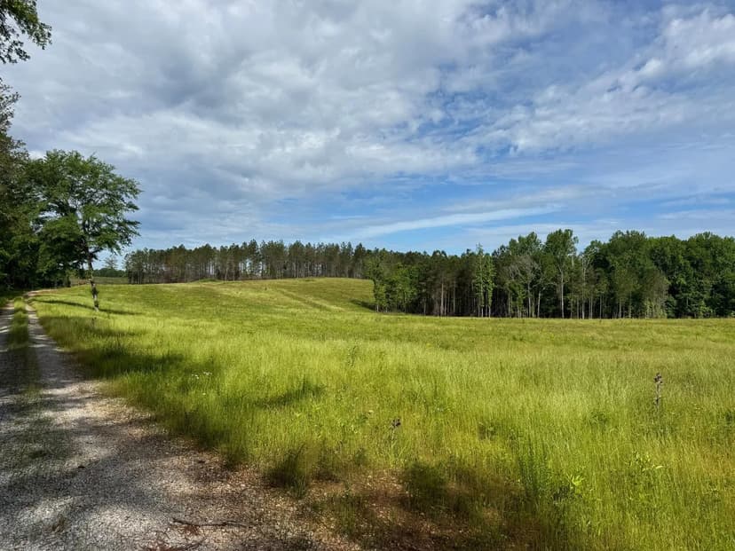 149 +/- Acres, PASTURE!!! Standing Rock, Chambers County, AL