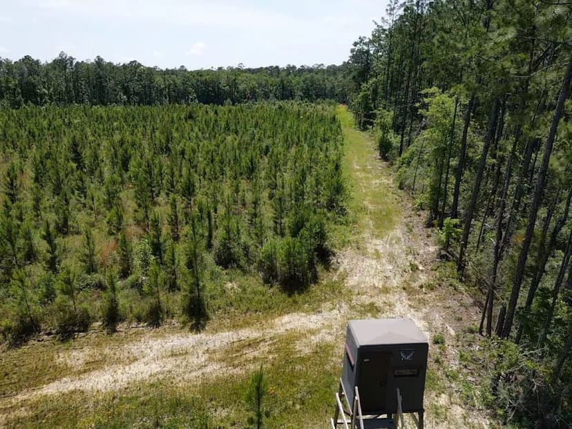 155+/- Acre Recreation Tract Baldwin Co.