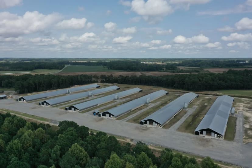 SALE PENDING - Rhodes Turkey Farm