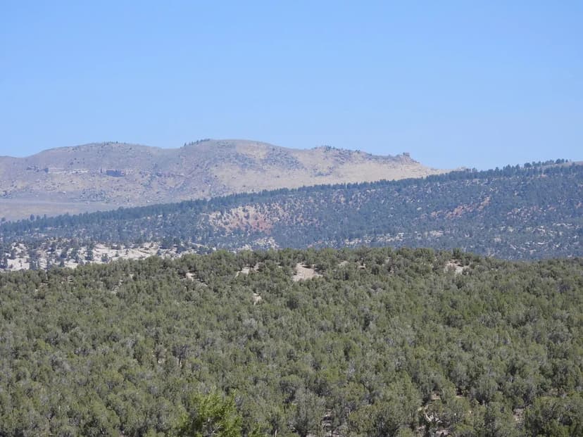 149 +/- Acres, PASTURE!!! Standing Rock, Chambers County, AL