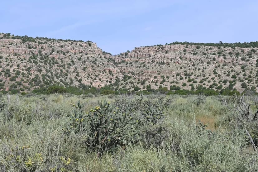 Prime Deer & Turkey Hunting Near The Big Black and Mississippi Rivers