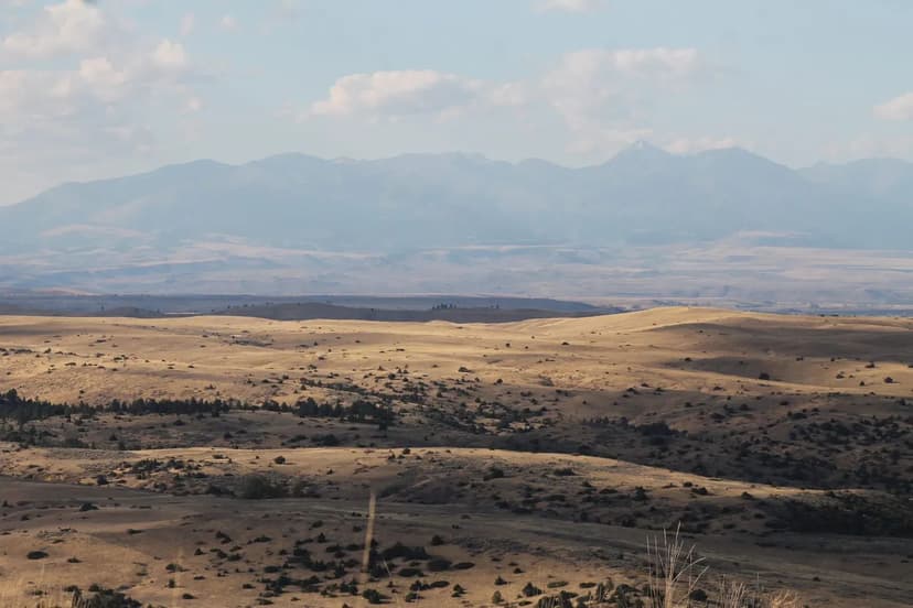 PRICE REDUCED! Whispering Oaks Breeder Farm