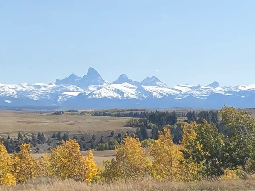 57.85 Acres Harris County, GA