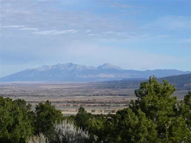 17 +/- Ac CASH FLOW INVESTMENT OPPORTUNITY ON THE CHATTAHOOCHEE RIVER!