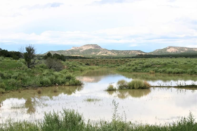 Ozark Mountain Retreat with Camp, Timber, Creek and Hunting