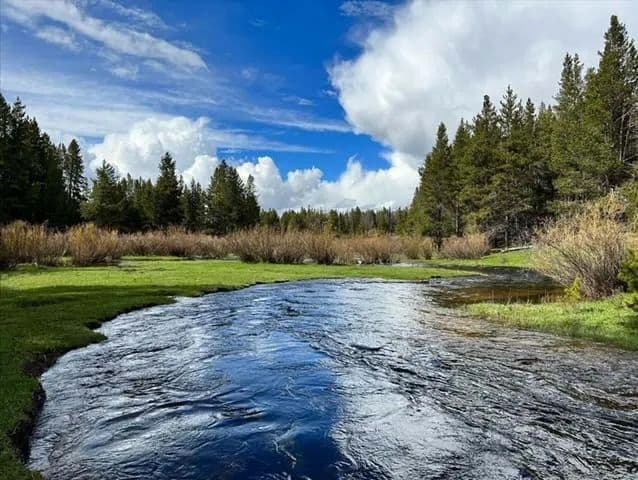 Big Hole River Ranch - land for sale