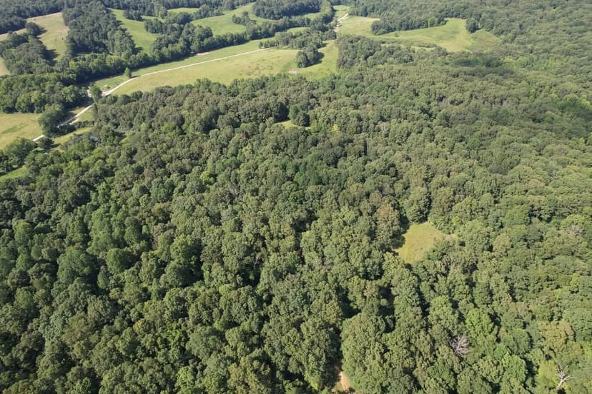 53+/- Acres For Sale in Washington County, PA