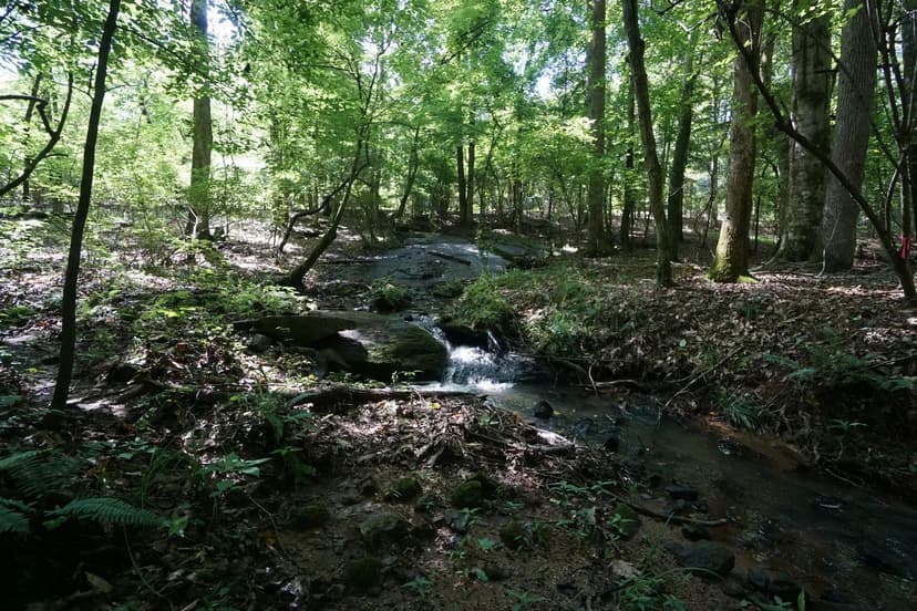 Residential Lot in North Coweta