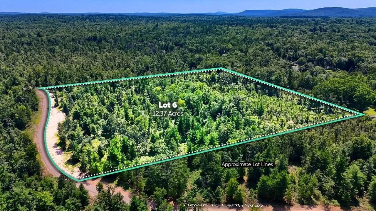 12.37+/- Acre Hunting Recreational Lot Ogemaw County MI - Prescott, Michigan, 48756