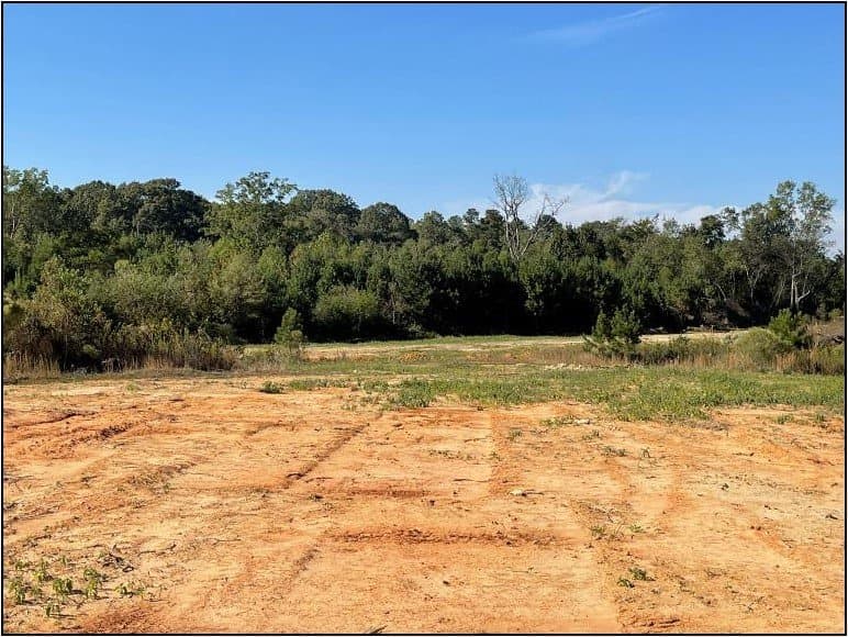80.5 Acres in Madison County in Ridgeland, MS