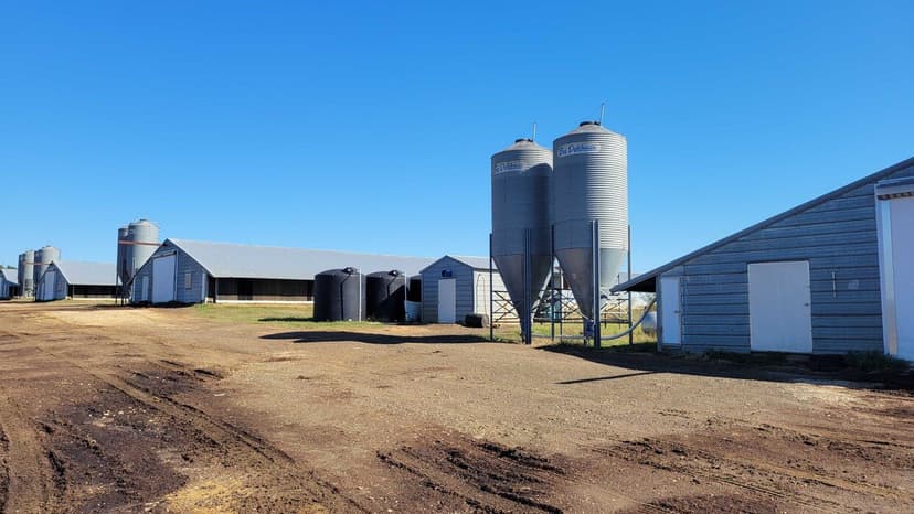 Poultry Farm for Sale in Alto, Texas