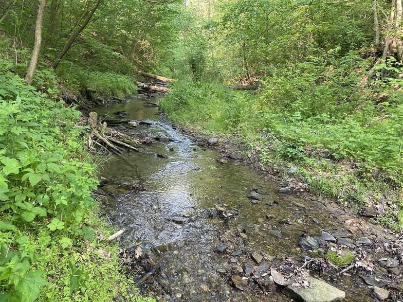 48+/- Acres Avella PA