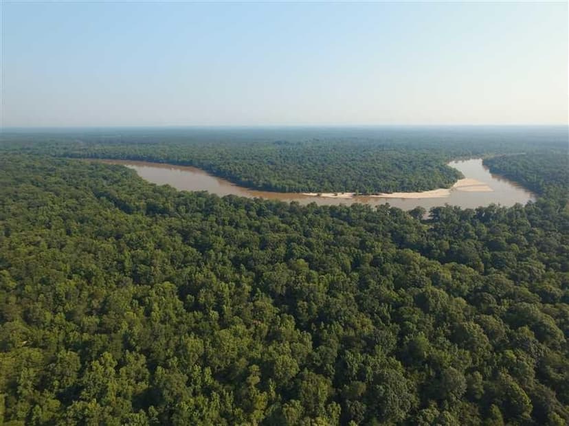 Multiple Altamaha River access Retreat Lots with Amenities