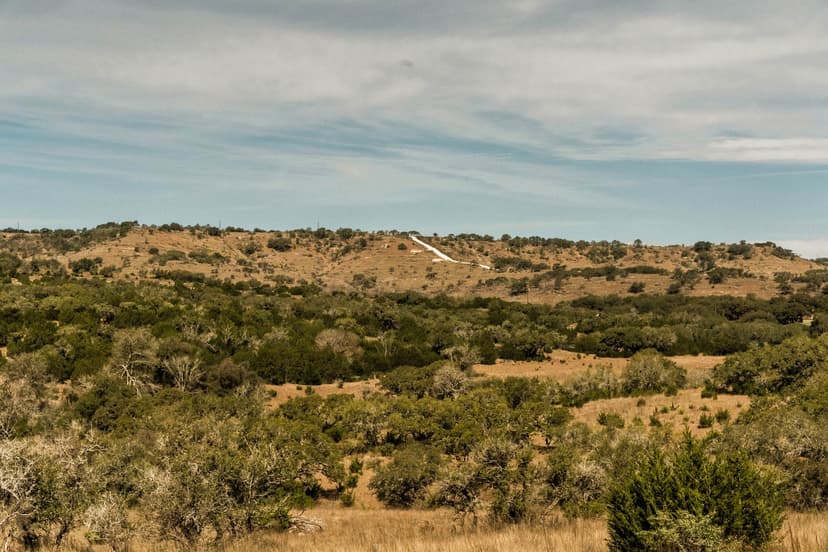 Negem Kendalia Ranch