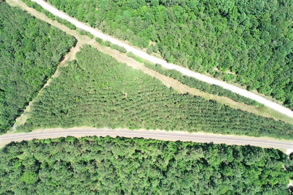 Beautiful, Rural Homesite - land for sale