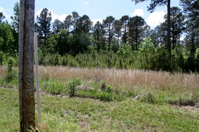 Chickasaw Meadows Lot 13