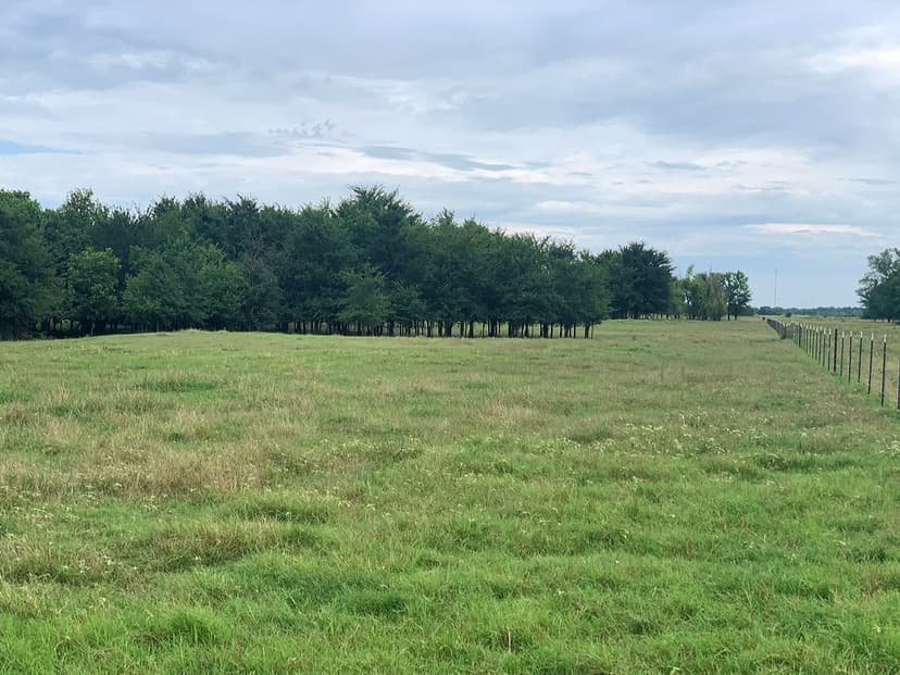 206.13 Acre Oklahoma Cattle Ranch, Coalgate, OK