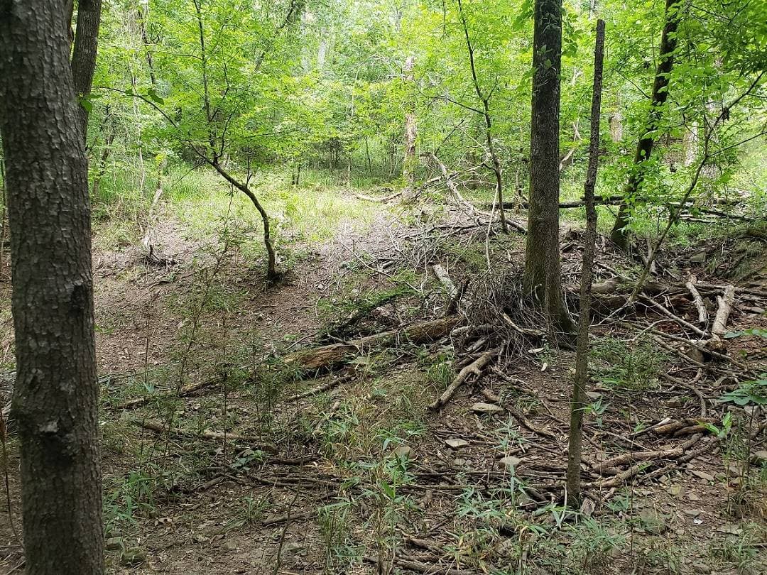 80 AC WITH CABIN ON KIAMICHI RIVER in Stanley, Oklahoma - photo 6