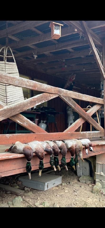 80 AC WITH CABIN ON KIAMICHI RIVER in Stanley, Oklahoma - photo 35