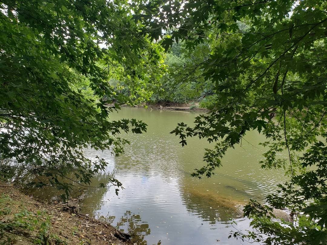80 AC WITH CABIN ON KIAMICHI RIVER in Stanley, Oklahoma - photo 2