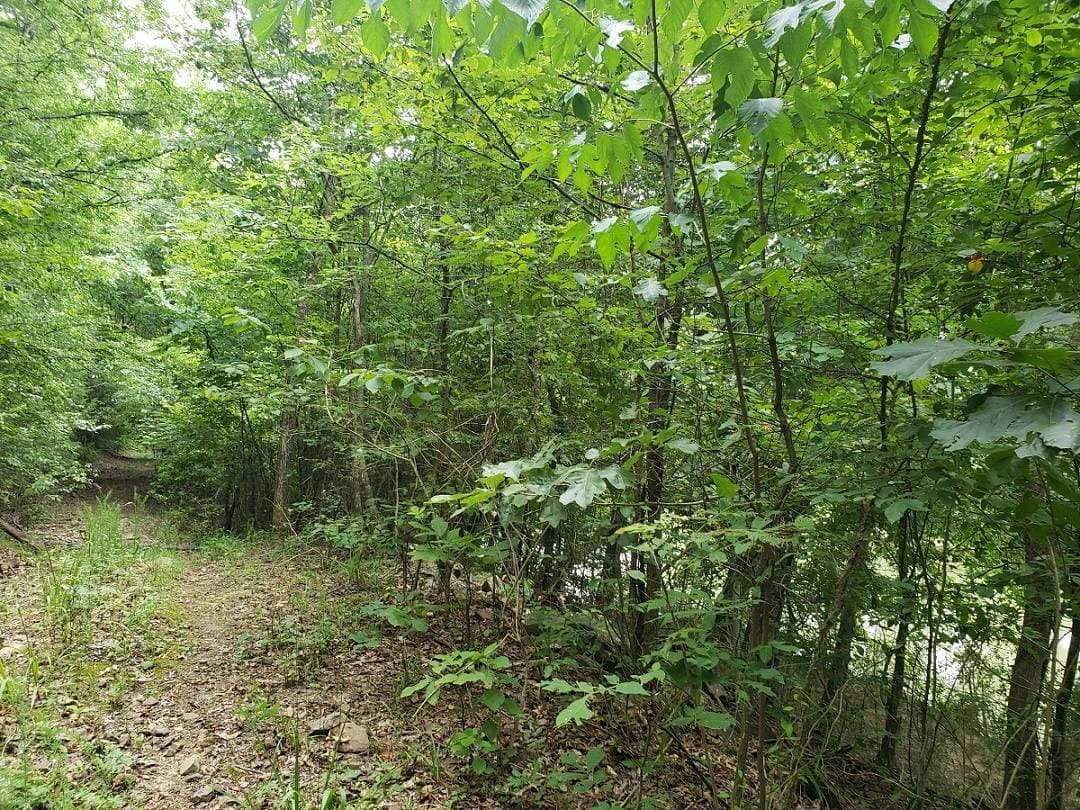 80 AC WITH CABIN ON KIAMICHI RIVER in Stanley, Oklahoma - photo 5