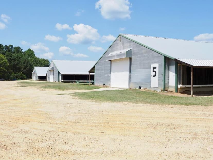 Nice Turnkey 6 house Poultry farm 25 Acres SE Mississippi