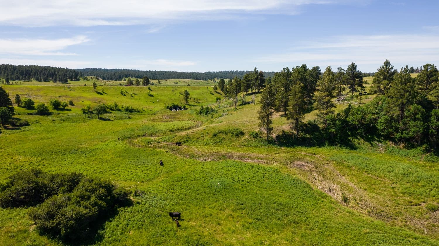 Little Houston Creek Ranch - Sundance, Wyoming, 82729