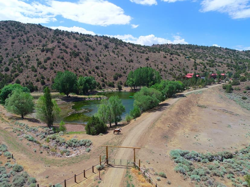 The Lost Oasis Ranch