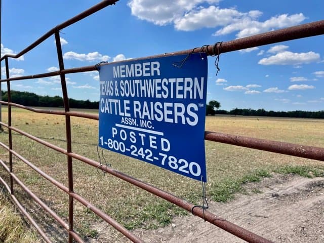 69.07 AC NW LAMAR COUNTY