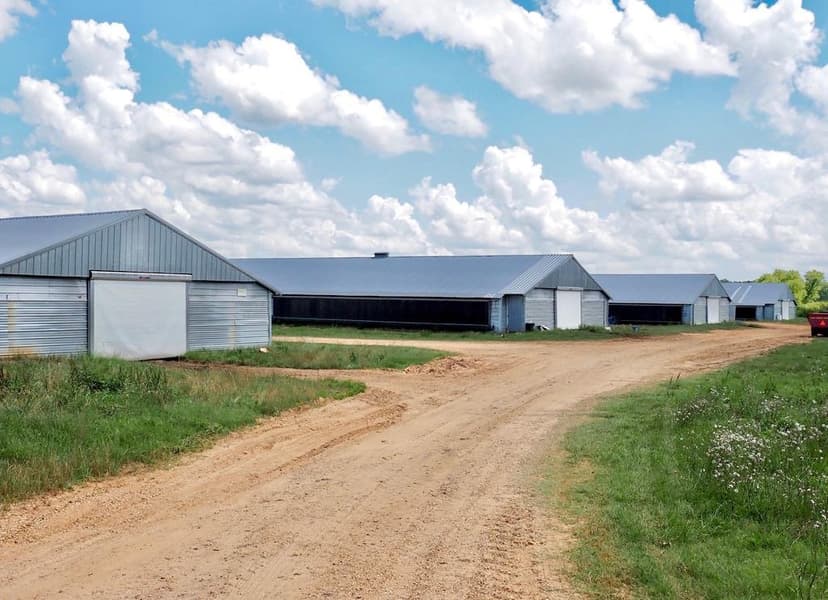 4 House Turnkey Poultry Broiler MS Farm with 60 Acres