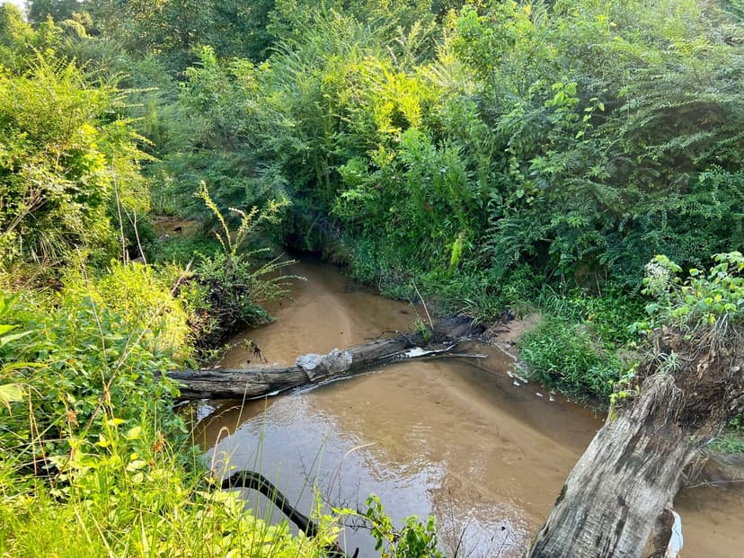 ±42 Acres - Inman, South Carolina