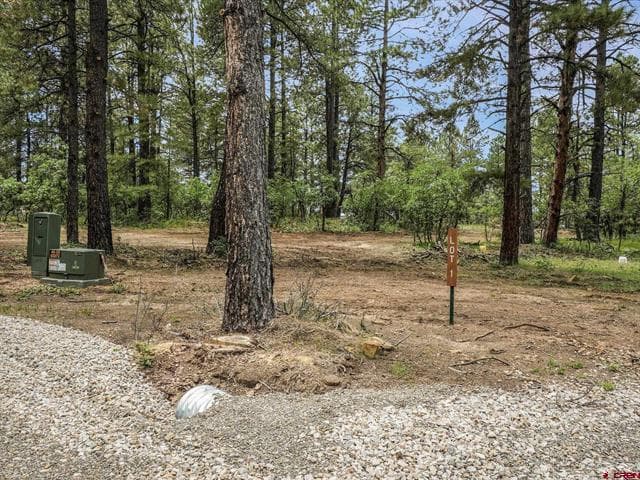 3700A County Road 600 Lot 1&2 (809510)