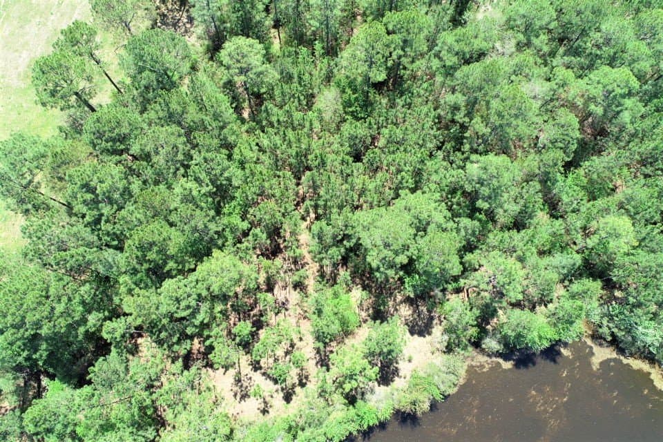 Beautiful Building Lot on 7 Acre Lake - land for sale
