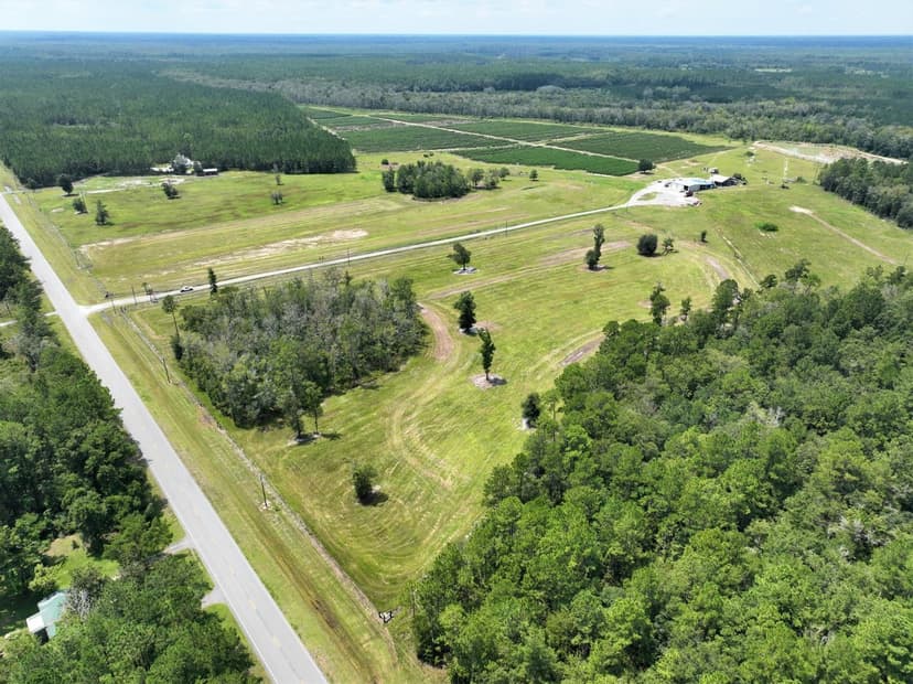 Blueberry Farm for Sale in Woodbine, GA 31569