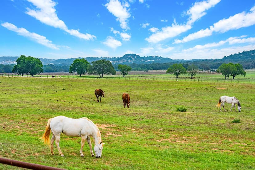 Kuhlman Creek Farms | Fredericksburg, TX