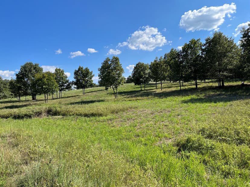 Ranch for Sale in Pushmataha County, OK